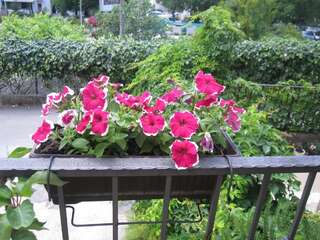 Апартаменты Apartments City Center Тиват Апартаменты с 1 спальней и террасой-4