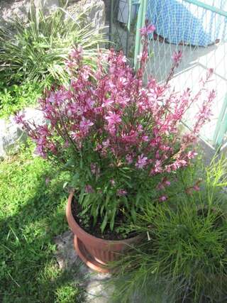 Апартаменты Apartments City Center Тиват Апартаменты с 1 спальней и террасой-5