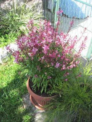 Апартаменты Apartments City Center Тиват Апартаменты с 1 спальней и террасой-23