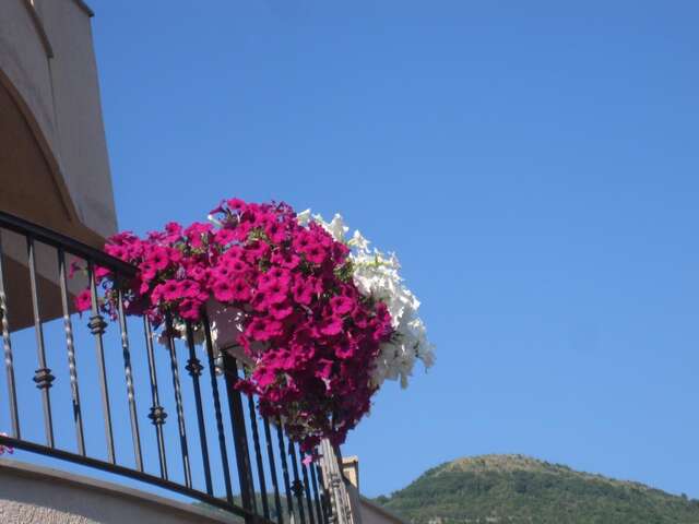 Апартаменты Apartments City Center Тиват-12