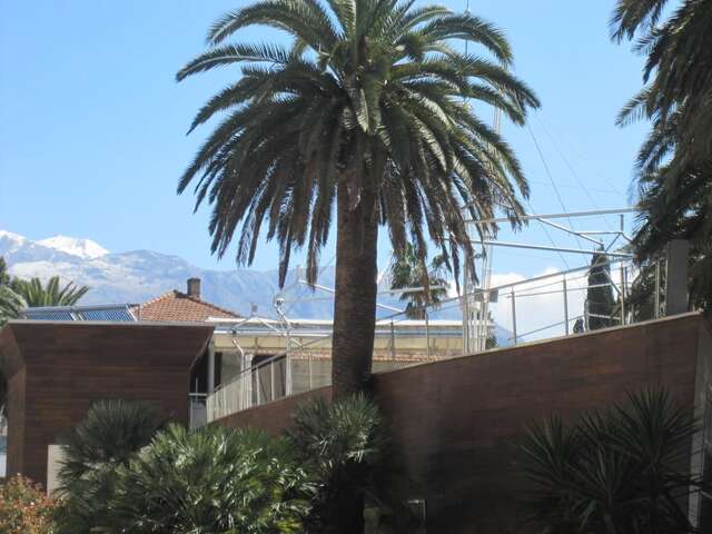 Апартаменты Apartments City Center Тиват-20