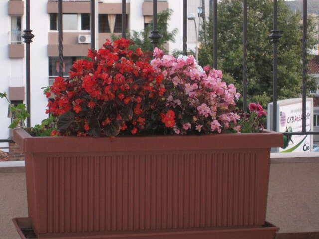 Апартаменты Apartments City Center Тиват-25