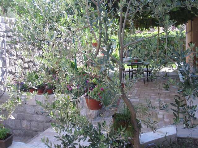 Апартаменты Apartments City Center Тиват-8